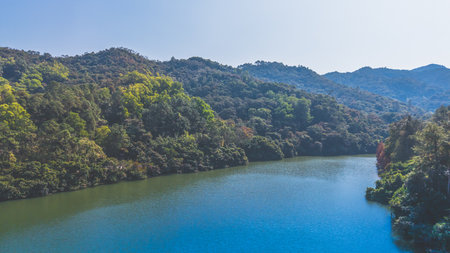Jan 11 2025 A tranquil view of a winding river surrounded by vibrantの写真素材