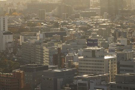 Dec 6 2024 featuring multiple high-rise buildings showcasing modern architecture