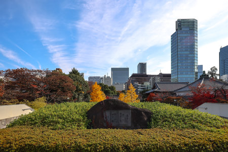 Dec 5 2024 Bright urban view featuring modern skyscrapers,の写真素材