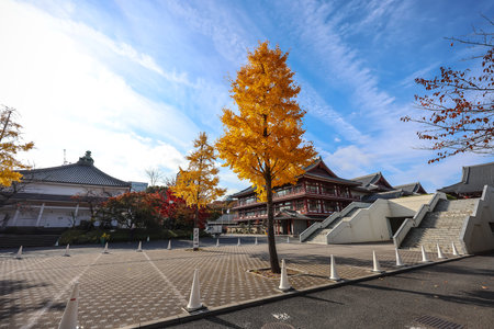 Dec 5 2024 Capturing a serene temple surrounded by vibrant autumn foliageの写真素材