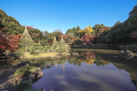 Dec 6 2024 Garden With Autumn Foliage Surrounding Peaceful Still Waterの写真素材