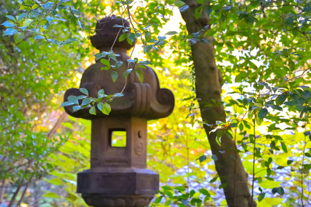 Dec 6 2024 A stone lantern is surrounded by vibrant green foliage,