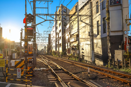 Dec 8 2024 serene urban scene capturing rail tracks extending through softlyの写真素材
