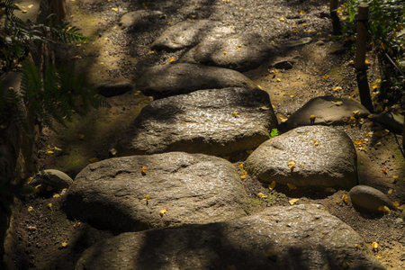 Dec 6 2024 stones form a serene pathway through a tranquil gardenの写真素材
