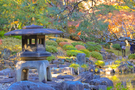 Dec 6 2024 traditional stone lantern surrounded by colorful autumnの写真素材