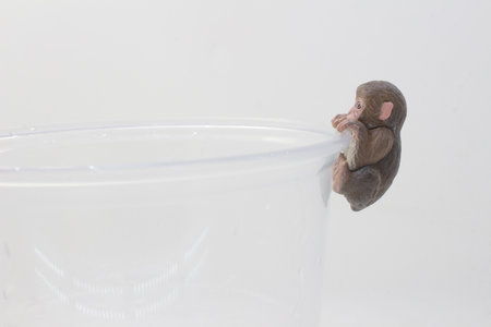 A small, detailed monkey figurine appears to cling tightly to a plasticの写真素材