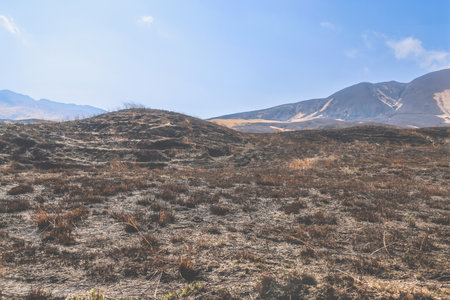 Expansive view of a scorched terrain illustrating arid
