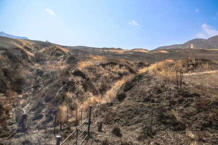 Expansive view of a scorched terrain illustrating aridの写真素材