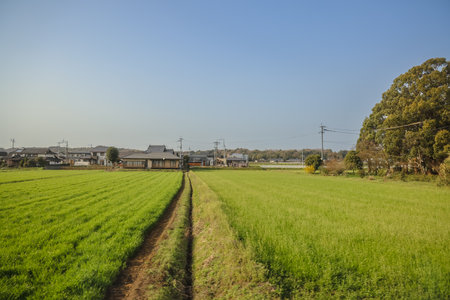 countryside showcasing expansive farmlands with green fieldsの写真素材