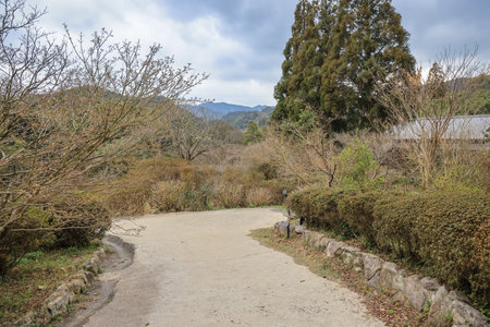 Visitors enjoy a walk along a serene mountain path surroundedの写真素材