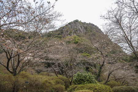 scenic view of a prominent rocky hillside surrounded by abundant greeneryの写真素材