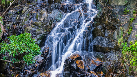 vibrant green forest encompassing a small cascading waterfallの写真素材