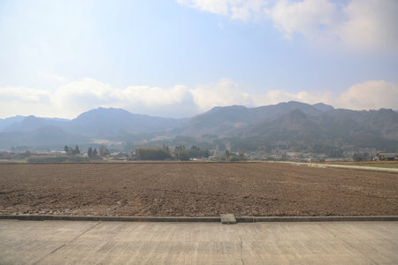 captivating view of a rural path extending through cultivated fields towardsの写真素材