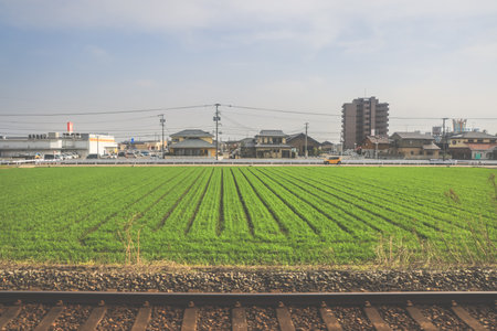 March 28 2025 view of an expansive green field, traversed by power lines,の写真素材