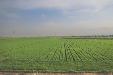 March 28 2025 view of an expansive green field, traversed by power lines,