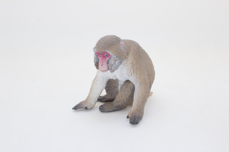 Detailed figurine of a Japanese macaque depicting wildlife rich iの写真素材
