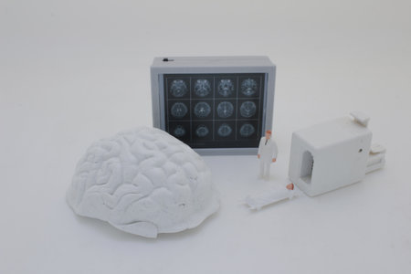 Professionally dressed miniature figures of medical professionals examiningの写真素材