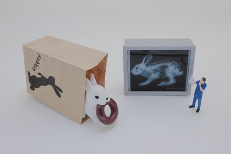 Professionally dressed miniature figures of medical professionals examiningの写真素材