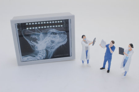 Professionally dressed miniature figures of medical professionals examiningの写真素材