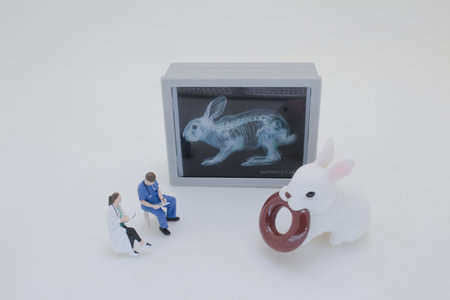 Professionally dressed miniature figures of medical professionals examining
