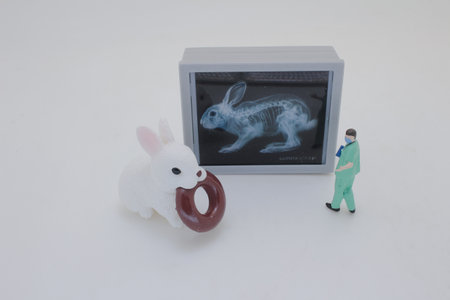 Professionally dressed miniature figures of medical professionals examining
