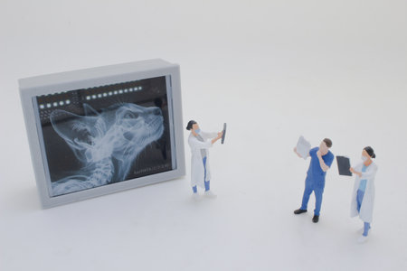 Professionally dressed miniature figures of medical professionals examiningの写真素材