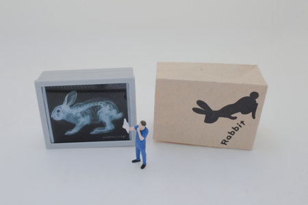 Professionally dressed miniature figures of medical professionals examiningの写真素材
