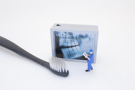 Miniature figure of a dentist inspecting an x-ray alongside a toothbrush,の写真素材