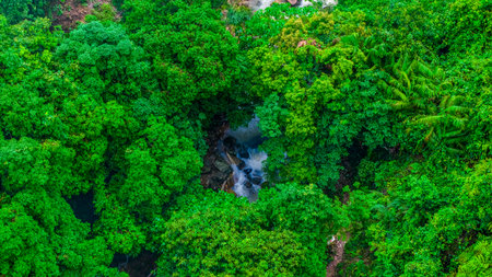 A vibrant green rainforest with a cascading waterfall concealed