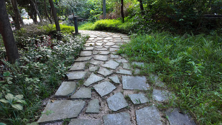 Elevated view of a stone pathway interwoven with lush green grass