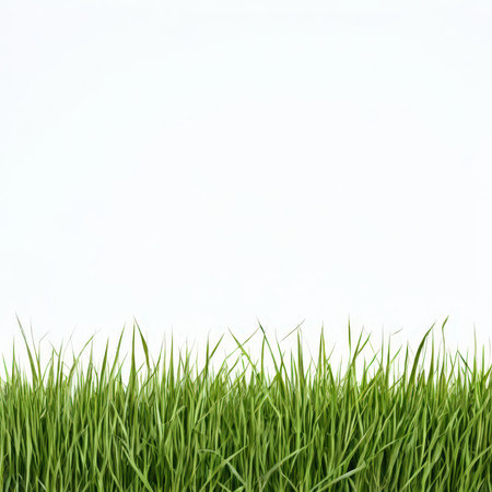the AI Image Generator, Vibrant Green Grass Border On White Backgroundの素材