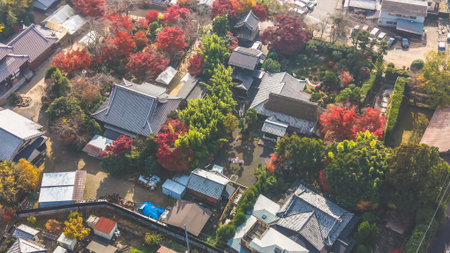 Exploring Sakamoto Cultural Heritage and Scenic Beauty Nov 27 2025