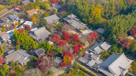 Exploring Sakamoto Cultural Heritage and Scenic Beauty Nov 27 2025