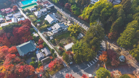 Exploring Sakamoto Cultural Heritage and Scenic Beauty Nov 27 2025