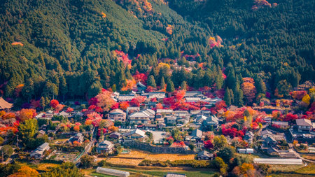 Historic temple gardens in Ohara Kyoto Japan countryside Nov 23 2025