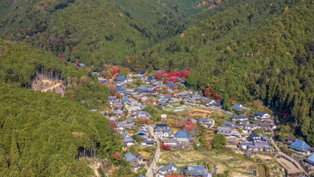 Vast grassy plain in Ohara Kyoto Japan Fall Nov 23 2025