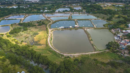 Beautiful wetland scenery featuring tranquil water and reeds Dec 20 2025のeditorial素材