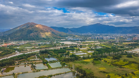 Beautiful wetland scenery featuring tranquil water and reeds Dec 20 2025のeditorial素材