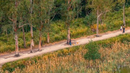 Beautiful wetland scenery featuring tranquil water and reeds Dec 20 2025