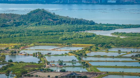 Expansive aquaculture ponds surrounded by green countryside fields Dec 20 2025のeditorial素材