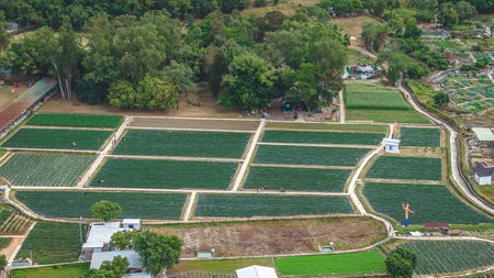 Beautiful rural farmland surrounded by lush greenery and hills Dec 20 2025のeditorial素材