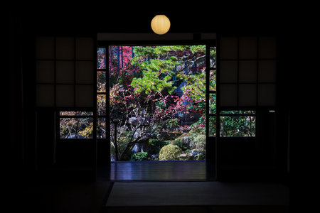 Historic Japanese architecture surrounded by colorful autumn foliage Nov 23 2025のeditorial素材