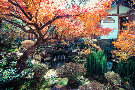 Peaceful Japanese temple garden with lush greenery Nov 23 2025のeditorial素材