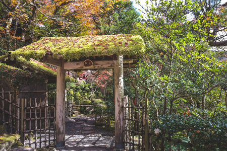 Tranquil Japanese Zen garden with historic Buddhist temple Nov 23 2025のeditorial素材