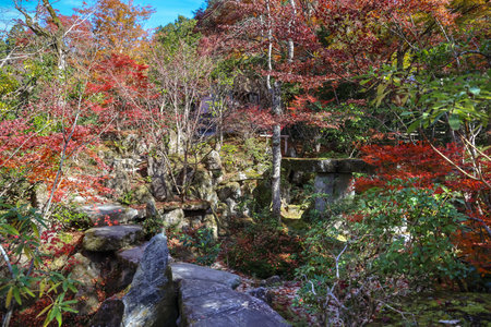 Peaceful Japanese temple garden with vibrant fall foliage Nov 23 2025のeditorial素材