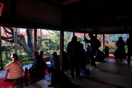 Historic Japanese architecture surrounded by colorful autumn foliage Nov 23 2025のeditorial素材