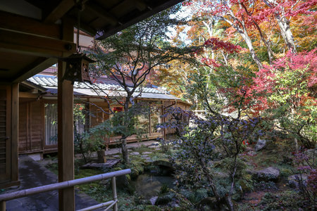 Peaceful Japanese temple garden with vibrant fall foliage Nov 23 2025のeditorial素材