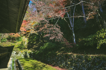 Peaceful Buddhist temple with traditional Japanese architecture Nov 23 2025のeditorial素材