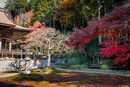 Peaceful Buddhist temple with traditional Japanese architecture Nov 23 2025のeditorial素材