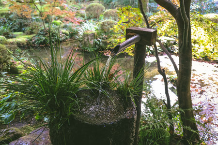 A traditional wooden Japanese temple sits beside a forest of colorful autumn leave Nov 23 2025のeditorial素材
